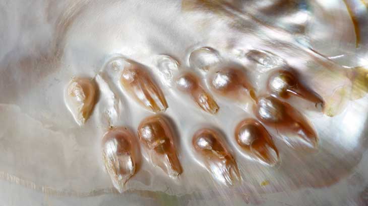 Image photo of pearls