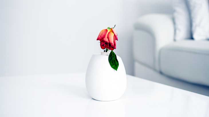 Image-photo-of-vase